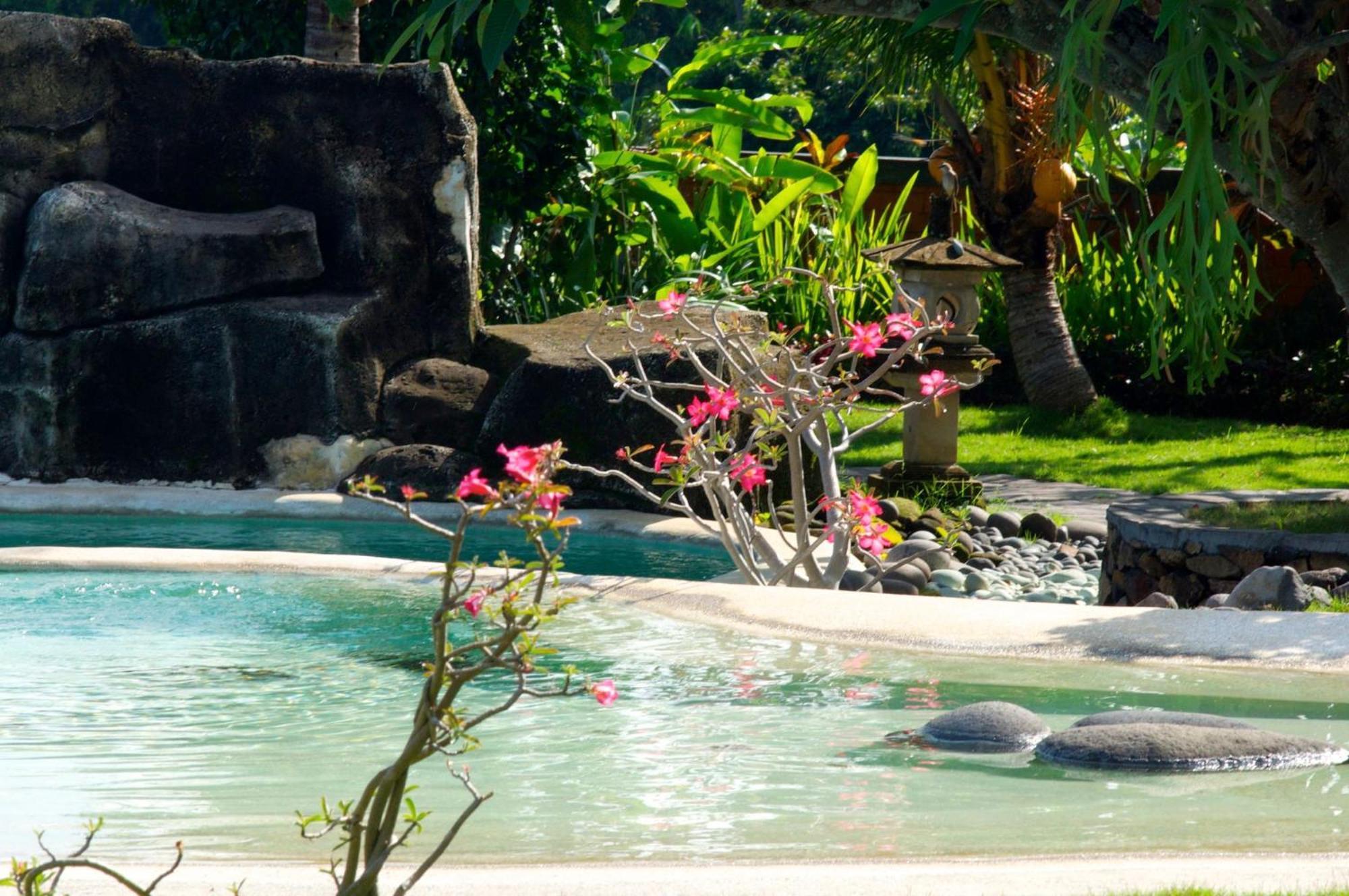 Villa Bali Pondok Jepang Lovina Beach Extérieur photo